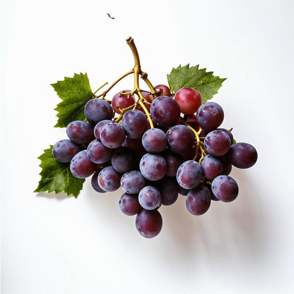 Сертификация винограда